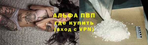 амф Алексин