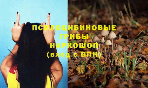 шишки Алзамай