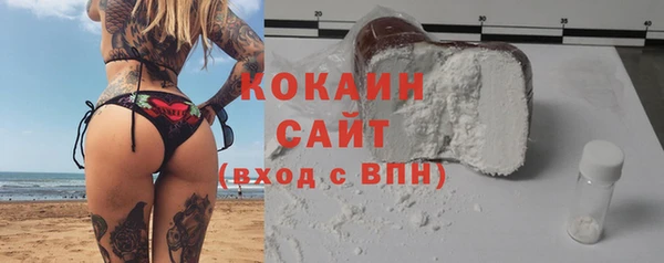 амф Алексин