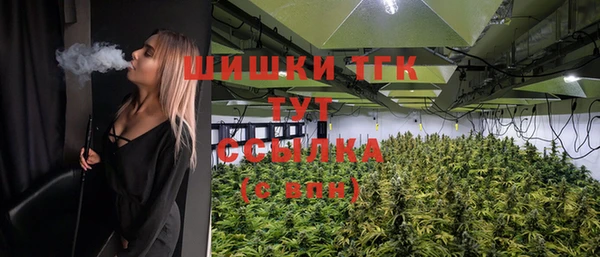 шишки Алзамай