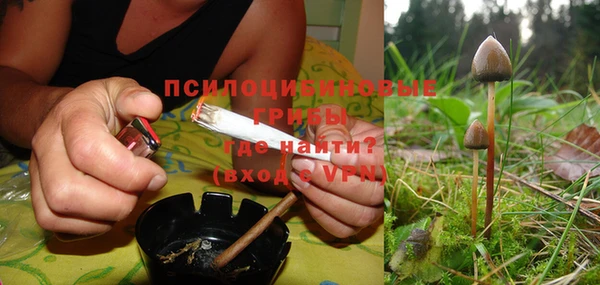 винт Алексеевка